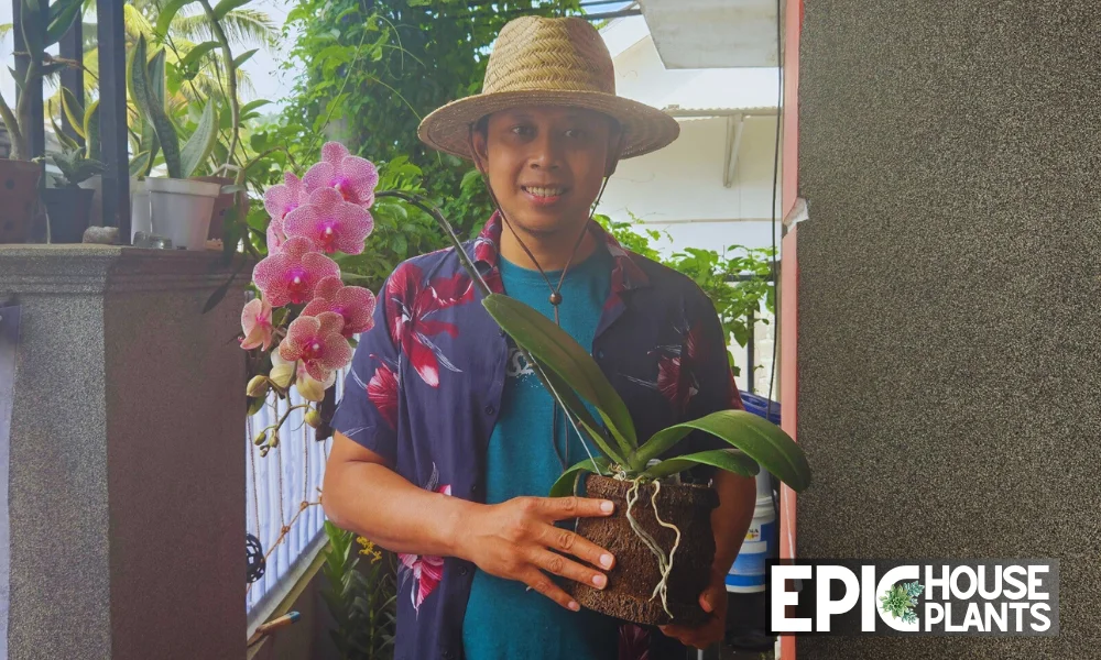 Pudji Haryanto - Author Epichouseplants