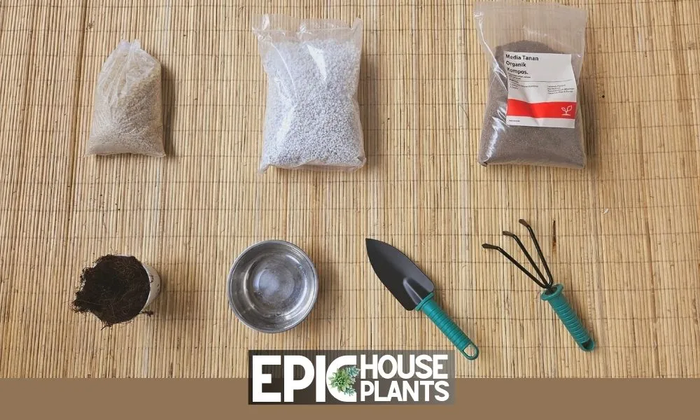 Gather Tools and Materials - Best Soil for Snake Plant & Make Your Own Soil Potting Mix